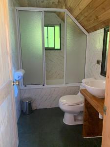 Ένα μπάνιο στο Hostal Tour Pucon +24 φωτογραφίες