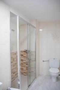 une salle de bain avec toilettes et douche en verre dans l'établissement MAGIC II a 30 segundos de la Plaza Mayor y 1 minuto de la Catedral, à León 16 autres photos