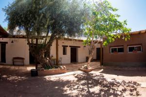 twee bomen voor een gebouw bij Hotel Boutique Watungasta in El Puesto