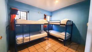 a room with three bunk beds in a blue room at Hola Ola Hostel in San Juan del Sur +24 photos