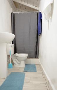 a bathroom with a toilet and a shower with blue rugs at Casa Ballenas3 SF in Las Terrenas +31 photos