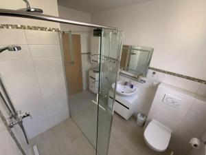 a bathroom with a glass shower and a sink at Holiday apartment on the Anger in Wernigerode +24 photos