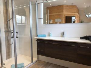 a bathroom with a shower and a sink and a mirror at Holiday home Wiedblick in Neu Gaarz +32 photos