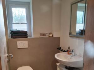 a bathroom with a sink and a toilet and a mirror at Holiday home Stieglund in Jörl +10 photos