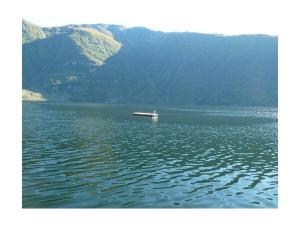 Billede fra billedgalleriet på "Butikken" - Zeecabines i Ulvik