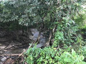 Paesaggio naturale nelle vicinanze dell'affittacamere