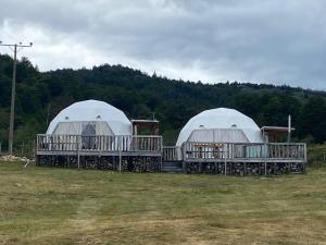 Puerto BertrandDomos Centro Las Lengas Gd的两个圆顶,在有树的田野上