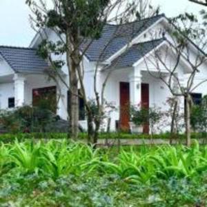 ein weißes Haus mit einem Baum davor in der Unterkunft Rose Villa Thai Nguyen - Venuestay in Thượng Nhân