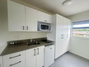 Kuchyň nebo kuchyňský kout v ubytování AAA Northlands Motel