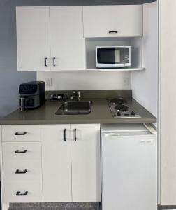 Kuchyň nebo kuchyňský kout v ubytování AAA Northlands Motel