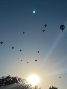 CorralesChasing Sunsets and Serenity的相册照片
