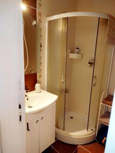 Koupelna v ubytování Gold Apartments