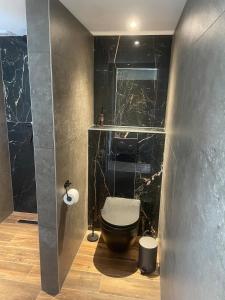 WestzaanにあるUnique Lodge 22 min from Amsterdam CSの黒い壁のバスルーム(トイレ付) +12枚の写真