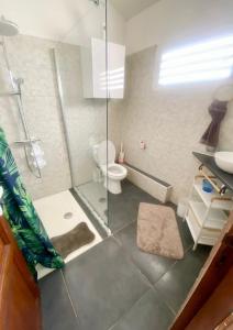 a bathroom with a shower and a toilet and a sink at Ti Lamp Ti Lamp: Cocon de Sérénité Près de la Mer in Saint-Paul +22 photos