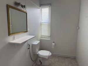 a bathroom with a toilet and a sink and a mirror at Hearty Center Motel in Katoomba