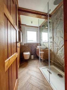 Kúpeľňa v ubytovaní Z Giewontem w Tle Apart&Room + 27 fotografií
