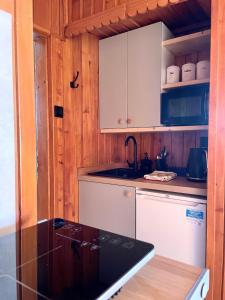 Kuchyňa alebo kuchynka v ubytovaní Z Giewontem w Tle Apart&Room
