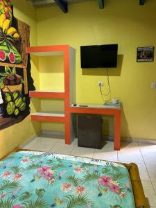 TV a/nebo společenská místnost v ubytování Hostal Bambumar