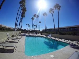 a swimming pool with lounge chairs and palm trees at Americas Best Value Inn Blythe CA in Blythe