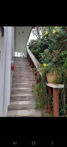Zahrada ubytování Gigi's Self Catering Apartment