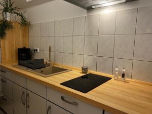 a kitchen with a sink and a counter top at Altstadtnest in Greifswald