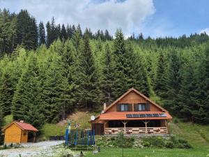 a house on a hill next to a forest at Balendormi in Gheorgheni