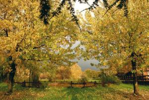 een park met banken en bomen in de herfst bij Agriturismo Monte Due Torri in Genzano di Roma