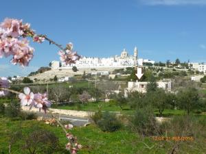 een uitzicht op een kasteel op een heuvel met bloemen bij DIMORA ANTONIANNA in VALLE D'ITRIA in Locorotondo