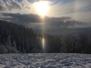 Przyroda w pobliżu tego apartamentu