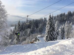 Obiekt Apartmány Chata Švadlenka zimą