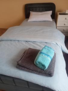 Postel nebo postele na pokoji v ubytování Prenoćište Zora