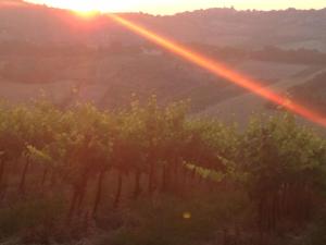 Kép Precious Villa Italy just few minutes drive from Pesaro beach szállásáról Ripében a galériában