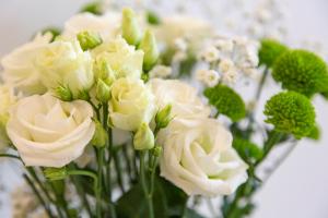 Gallery image of T2 avec jardin 1,2km de la plage in Bénodet +16 photos