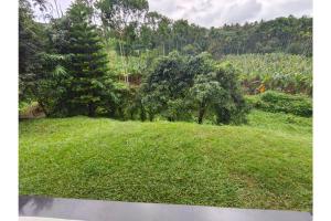 Spice Fields Cottage - 3 Bedroom - Wayanad外面的花园