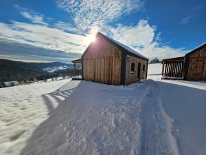 Το Chata w Bieszczadzie apartamenty i domki z sauną Bieszczady τον χειμώνα