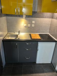 a small kitchen with a sink and a counter top at Villa Liberté Verdun IGR Paul Brousse in Villejuif +63 photos