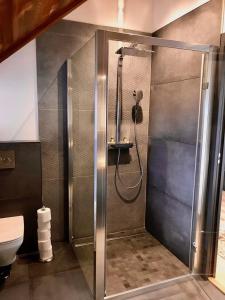 a shower stall in a bathroom with a toilet at Villa à 200mètres du lac avec terrasse privée in Sévrier +15 photos