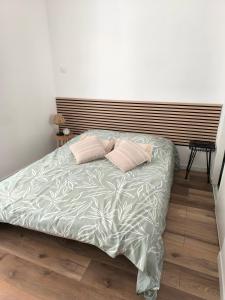 una camera da letto con un letto con due cuscini sopra di Charmant Studio Centre-ville Confort a Montélimar