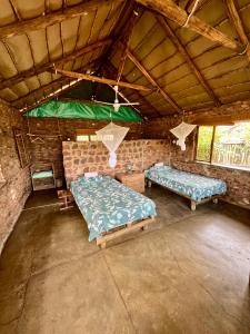 Fotografie z fotogalerie ubytování Kaoxa Bush Camp v destinaci Alldays