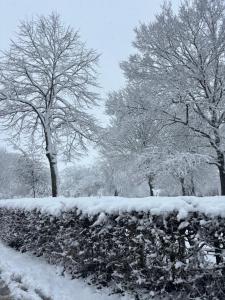 un seto cubierto de nieve con árboles en el fondo en Casa 3, en Simpelveld
