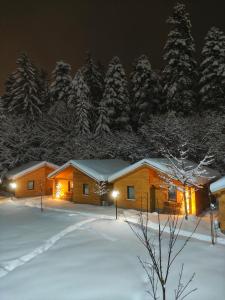 a log cabin in the snow at night at Iglika Hotel & Villas Borovets in Borovets