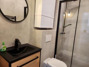 un bagno con lavandino e doccia con specchio di Nice Fac St Jean D'Angely a Nizza Altre 5 foto