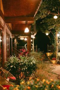 Fotografie z fotogalerie ubytování Tam Coc Sunny Fields Bungalow v destinaci Nguyễn Thôn