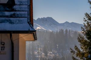 vista su una montagna innevata da un edificio di Noclegi SIUSTER z widokiem na góry - świetna lokalizacja, blisko Term Bukovina oraz stoków! - w okresie zimowym śniadania oraz obiady serwowane są w obiekcie 120m dalej a Bukowina Tatrzańska