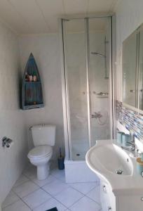 a bathroom with a shower and a toilet and a sink at Ferienhaus am See in Königs Wusterhausen