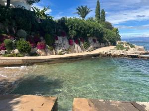 a swimming pool next to the ocean with flowers at Art Gallery suite in Vantačići