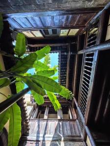 Fotografie z fotogalerie ubytování Jianshui Fanqi Boutique B&B v destinaci Jianshui