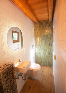ein Badezimmer mit Waschbecken, Toilette und Spiegel in der Unterkunft Designer Riverfront Cottage in Podljubelj