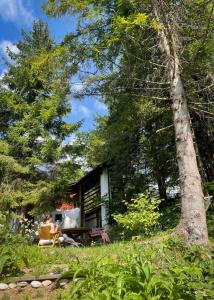 ein Cottage im Wald mit einem Paar auf Stühlen in der Unterkunft Designer Riverfront Cottage in Podljubelj