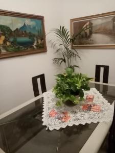 a dining room table with a plant on top of it at House Vintage in Catania